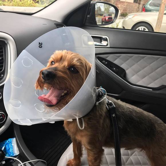 Meet your Posher, Zach - Picture 1 of 1